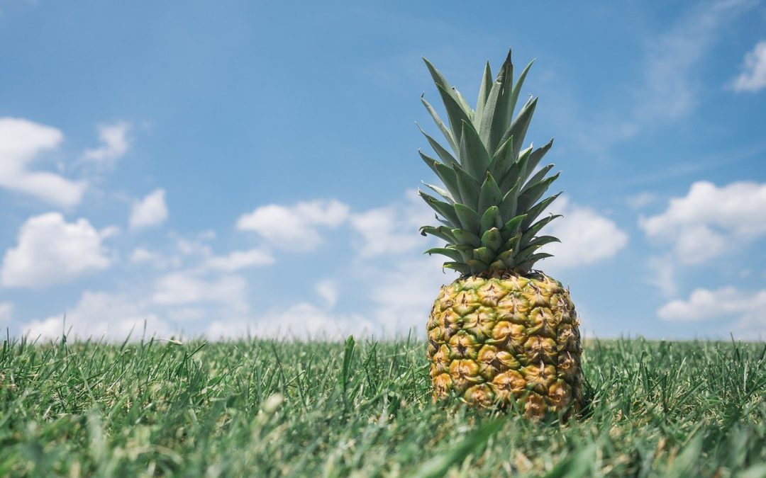 Obierania ananasa – jak to prawidłowo zrobić?